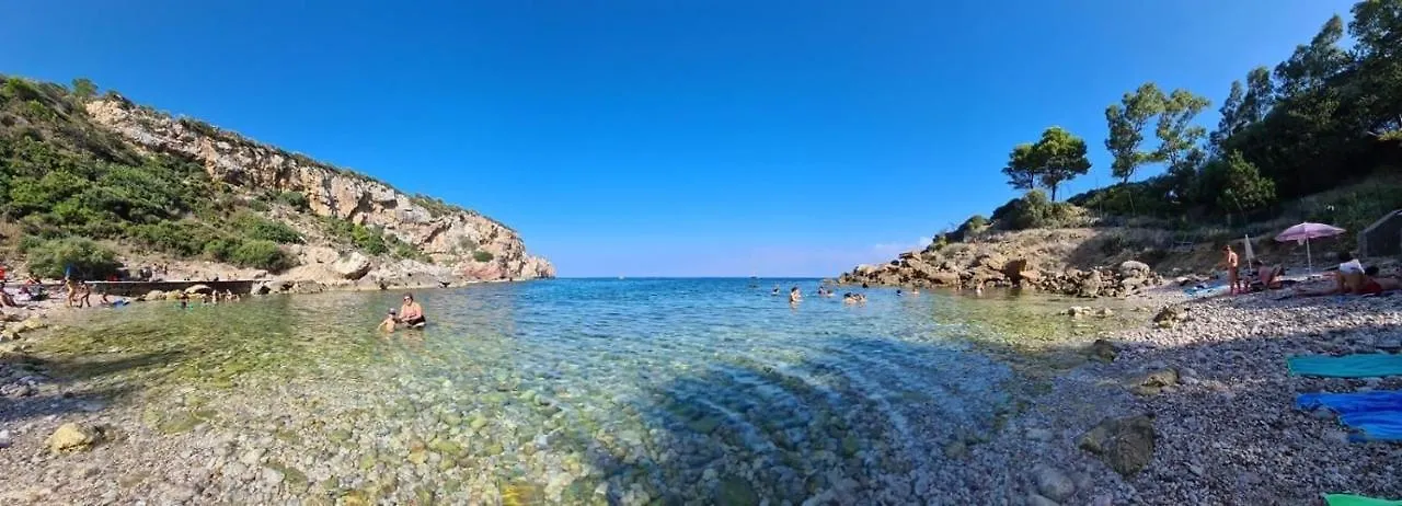 Cocciu D'Amuri Terrasini