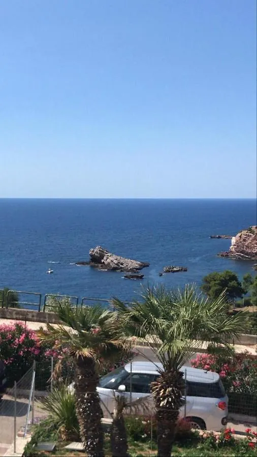 Cocciu D'Amuri Terrasini 0*,