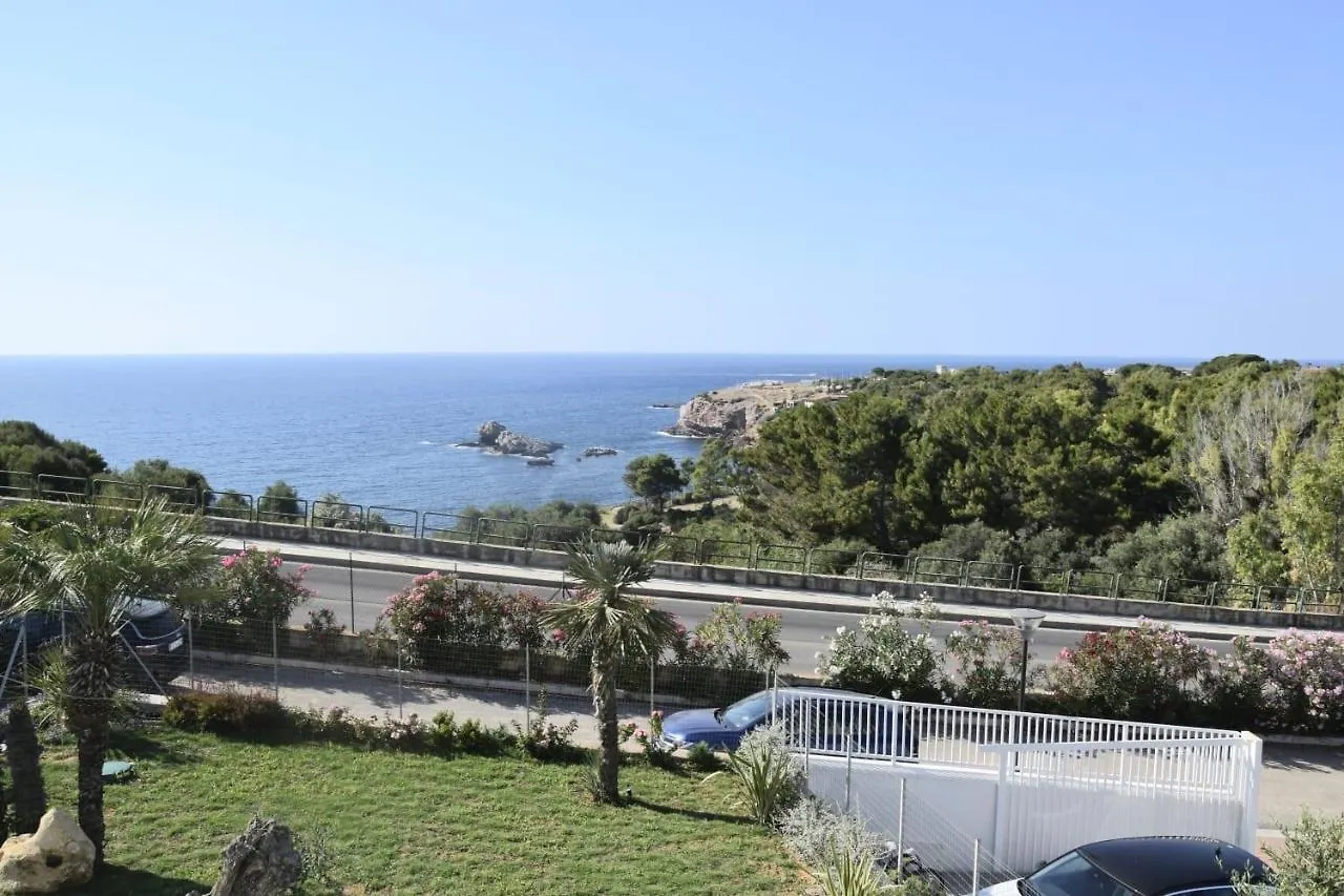 Cocciu D'Amuri Terrasini